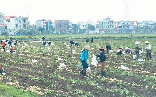 Điểm sáng trong xây dựng Làng văn hóa ở Tiên Du Bắc Ninh