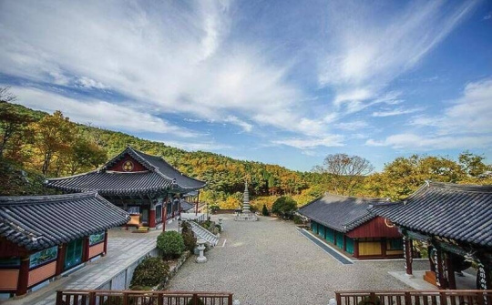 Hàn Quốc chi hàng triệu USD xây làng Việt ở quê HLV Park Hang-seo