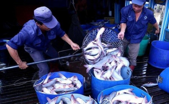 Mỹ công nhận hệ thống an toàn thực phẩm cá da trơn của Việt Nam