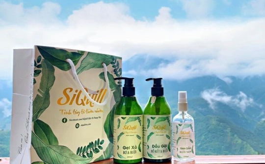 Thương hiệu SiQuill - Tiên phong dẫn lối