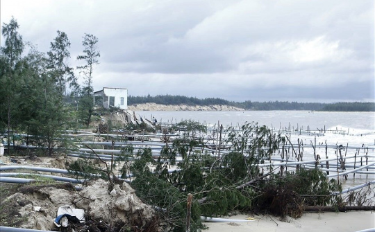 Quảng Nam: Sóng lớn gây sạt lở nghiêm trọng tại xã đảo Tam Hải – Núi Thành