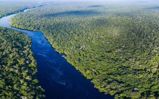 Số vụ cháy tại rừng Amazon khu vực miền Bắc Brazil giảm kỷ lục trong tháng 10/2019