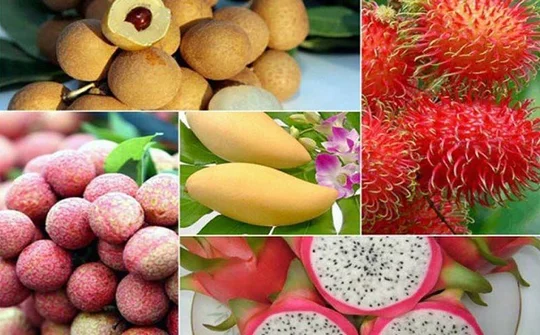 Nâng cao thương hiệu cho nông sản Việt