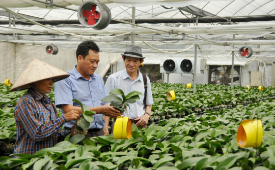 Nông nghiệp công nghệ cao thiếu nhân lực chất lượng