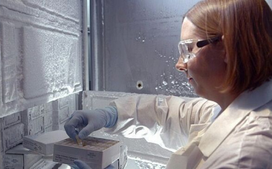 Phát hiện chủng virus HIV mới