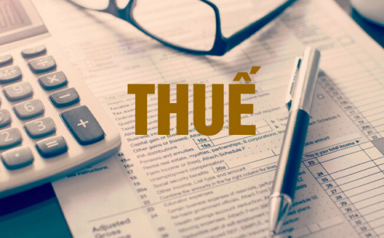 Xóa tiền phạt chậm nộp cần đảm bảo đúng đối tượng