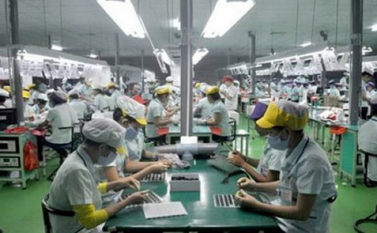 Gần 15 nghìn Doanh nghiệp thành lập mới và quay trở lại hoạt động mỗi tháng năm 2019