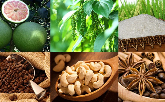 Cơ hội cho hàng Việt phân phối ra nước ngoài