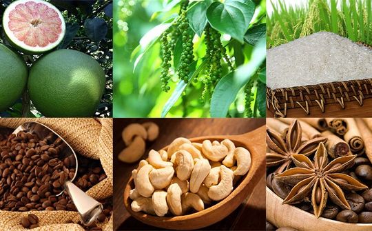 Cơ hội cho hàng Việt phân phối ra nước ngoài