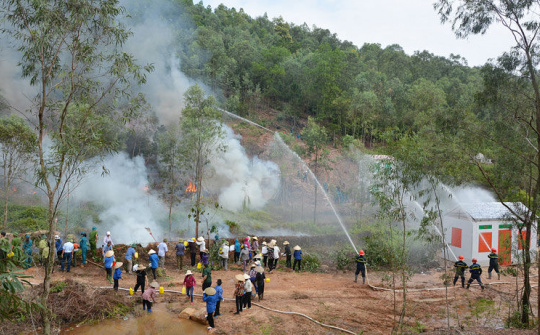 Bắc Ninh đẩy mạnh công tác phòng, chống cháy rừng vào mùa hanh khô