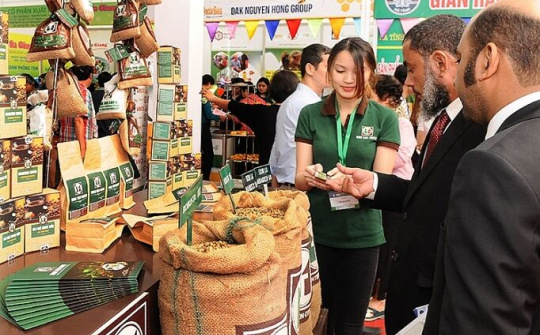 Đưa ra phương hướng nâng chất, tăng giá trị cho xuất nhập khẩu cà phê