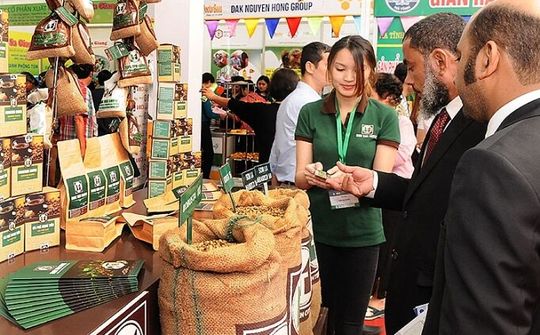 Đưa ra phương hướng nâng chất, tăng giá trị cho xuất nhập khẩu cà phê