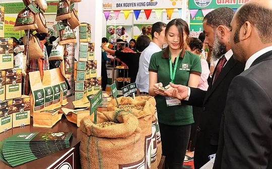 Đưa ra phương hướng nâng chất, tăng giá trị cho xuất nhập khẩu cà phê