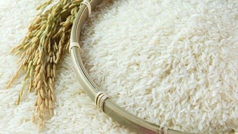 Hạt gạo Việt với hành trình giúp doanh nghiệp vươn xa tới hội nhập