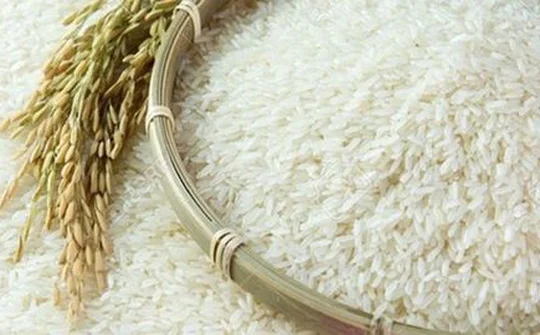 Hạt gạo Việt với hành trình giúp doanh nghiệp vươn xa tới hội nhập