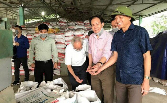 Lợi ích kép từ việc sáng chế xử lý rác thải sinh hoạt thành hàng hóa