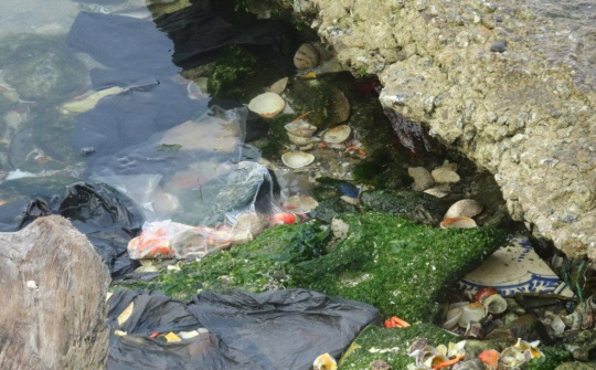 Chính phủ lên kế hoạch quản lý rác thải nhựa đại dương đến năm 2030