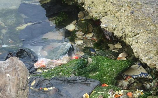 Chính phủ lên kế hoạch quản lý rác thải nhựa đại dương đến năm 2030