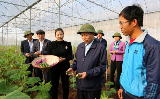 Bí thư Tỉnh ủy Nguyễn Nhân Chiến thăm mô hình nông nghiệp CNC và làng nghề tiêu biểu tại Bắc Ninh