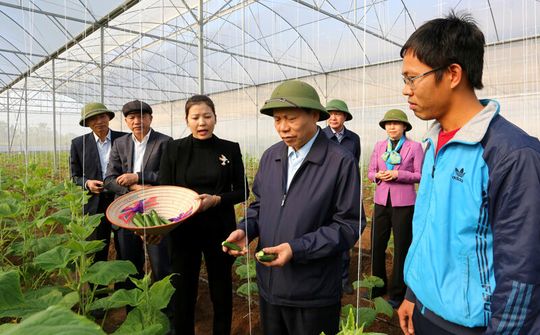 Bí thư Tỉnh ủy Nguyễn Nhân Chiến thăm mô hình nông nghiệp CNC và làng nghề tiêu biểu tại Bắc Ninh