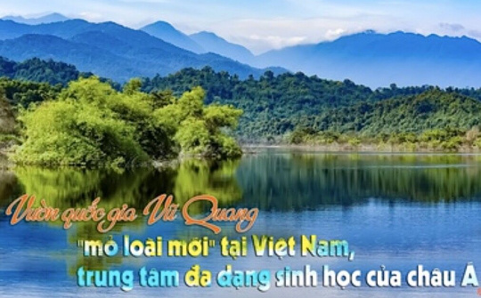 Vinh danh thêm 4 vườn di sản ASEAN mới của Việt Nam
