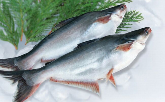 Xây dựng hình ảnh và thương hiệu cá tra Việt Nam