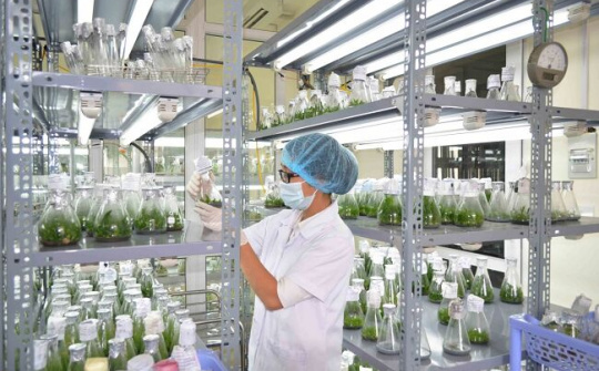 Thúc đẩy hoạt động thẩm định hồ sơ cấp phép tiếp cận nguồn Gen