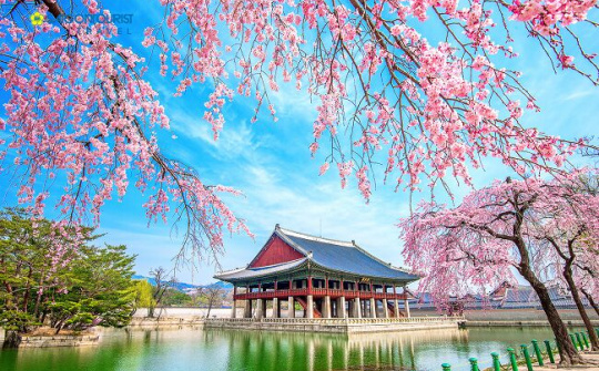 Hàn Quốc công bố chiến lược phát triển mới