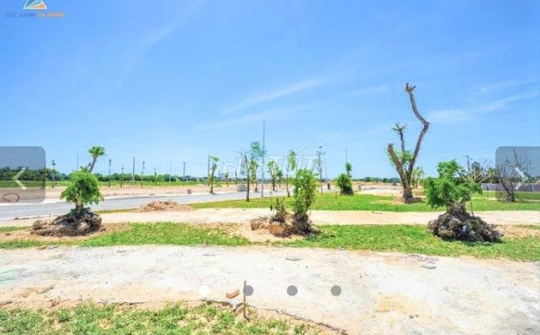 Quảng Ngãi: Hàng chục ngàn lô đất tồn đọng, hậu quả từ việc cấp phép tràn lan