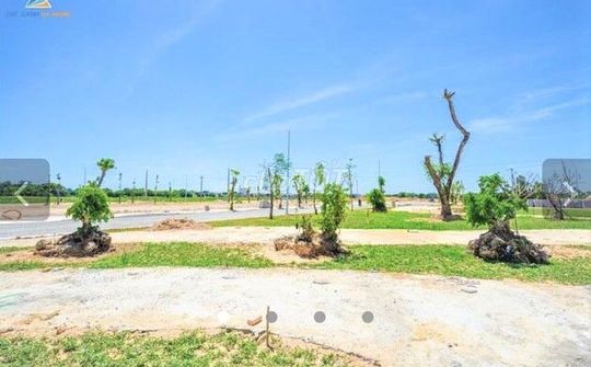 Quảng Ngãi: Hàng chục ngàn lô đất tồn đọng, hậu quả từ việc cấp phép tràn lan