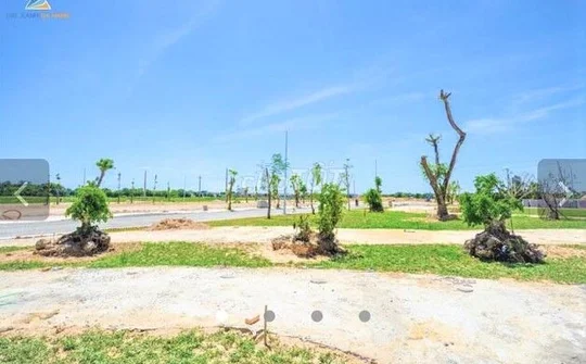 Quảng Ngãi: Hàng chục ngàn lô đất tồn đọng, hậu quả từ việc cấp phép tràn lan