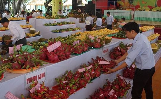 Tổng kim ngạch xuất nhập khẩu giữa Việt Nam và Trung Quốc gần 105 tỷ USD