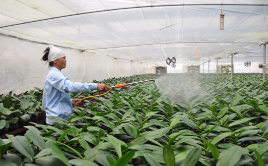 Bắc Ninh đẩy mạnh hành động ứng phó với biến đổi khí hậu