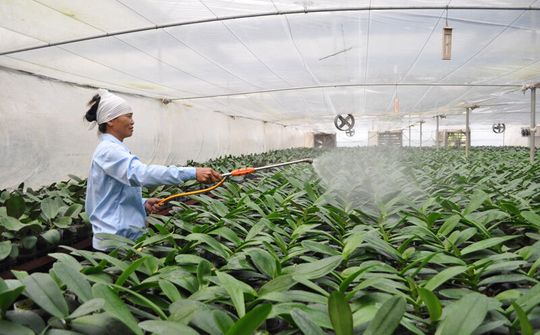 Bắc Ninh đẩy mạnh hành động ứng phó với biến đổi khí hậu