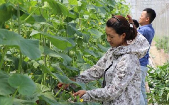 Bắc Ninh: Hỗ trợ người dân trong xây dựng các mô hình phát triển kinh tế