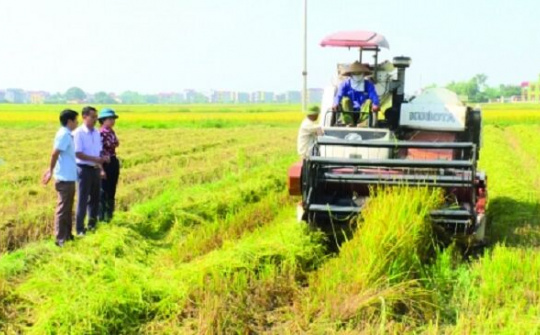 Huyện Quế Võ (Bắc Ninh): Gắn phát triển kinh tế tập thể với xây dựng nông thôn mới