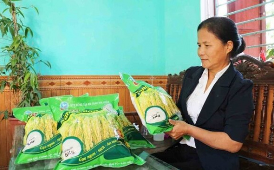 Giúp gạo Nàng xuân tại Quế Võ Bắc Ninh vươn tầm hội nhập