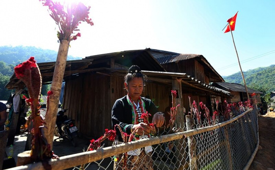 Đồng bào Cống bày tỏ sự biết ơn tổ tiên thông qua Tết Hoa mào gà