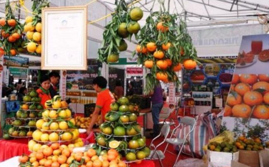 Tuần lễ cam sành, các sản phẩm OCOP và sản phẩm tiêu biểu tỉnh Hà Giang năm 2019