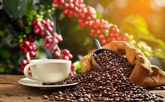 Nâng tầm thương hiệu cà phê Việt