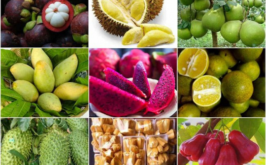 Chiến lược toàn diện để nâng cao giá trị nông sản Việt