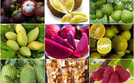 Chiến lược toàn diện để nâng cao giá trị nông sản Việt