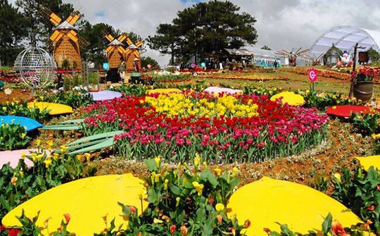 Khai mạc Festival hoa Đà Lạt 2019