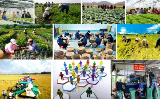 Lấy ý kiến để xây dựng, hoàn thiện Sách trắng Hợp tác xã Việt Nam