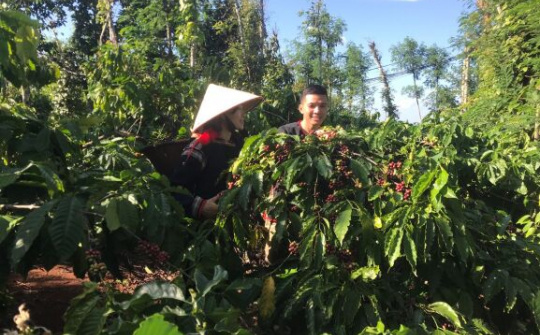 Hơn cả ly cà phê bạn mong đợi!