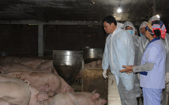 Bộ trưởng cảnh báo không tích trữ hàng và đẩy giá thịt lợn