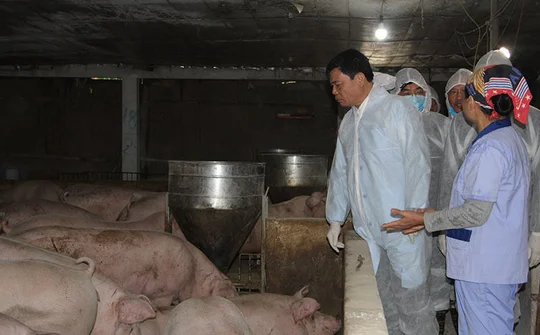 Bộ trưởng cảnh báo không tích trữ hàng và đẩy giá thịt lợn