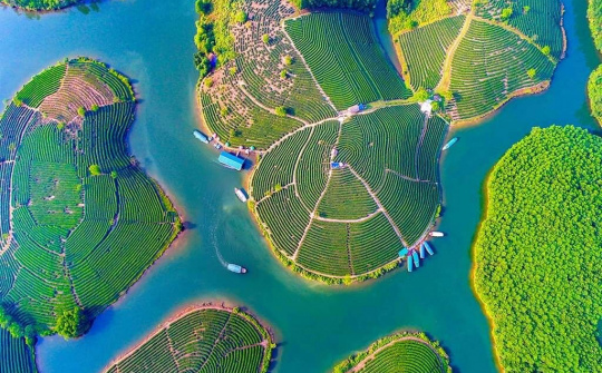 Khi có niềm đam mê không có gì là không thể