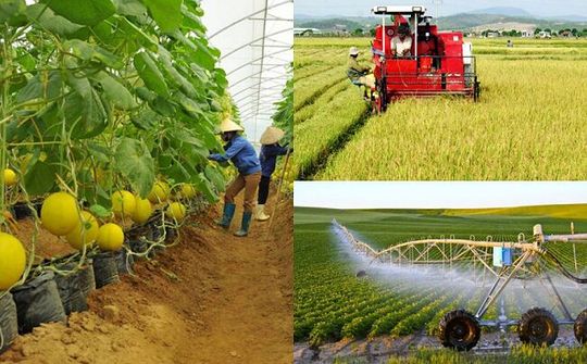 Ngành nông nghiệp đạt nhiều mục tiêu tăng trưởng