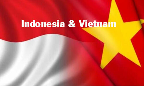Việt Nam-Indonesia thúc đẩy mạnh mẽ hơn nữa hợp tác song phương